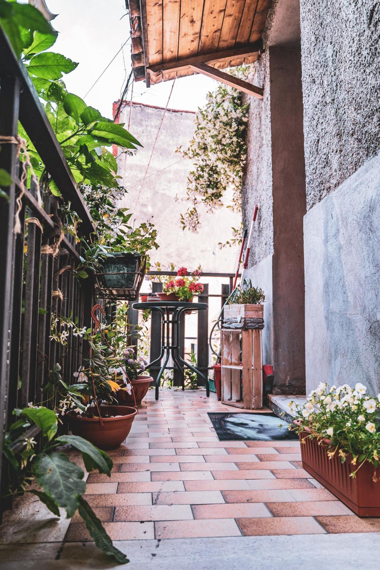 Casina Carina - Intero Appartamento Indipendente Alatri Exteriér fotografie